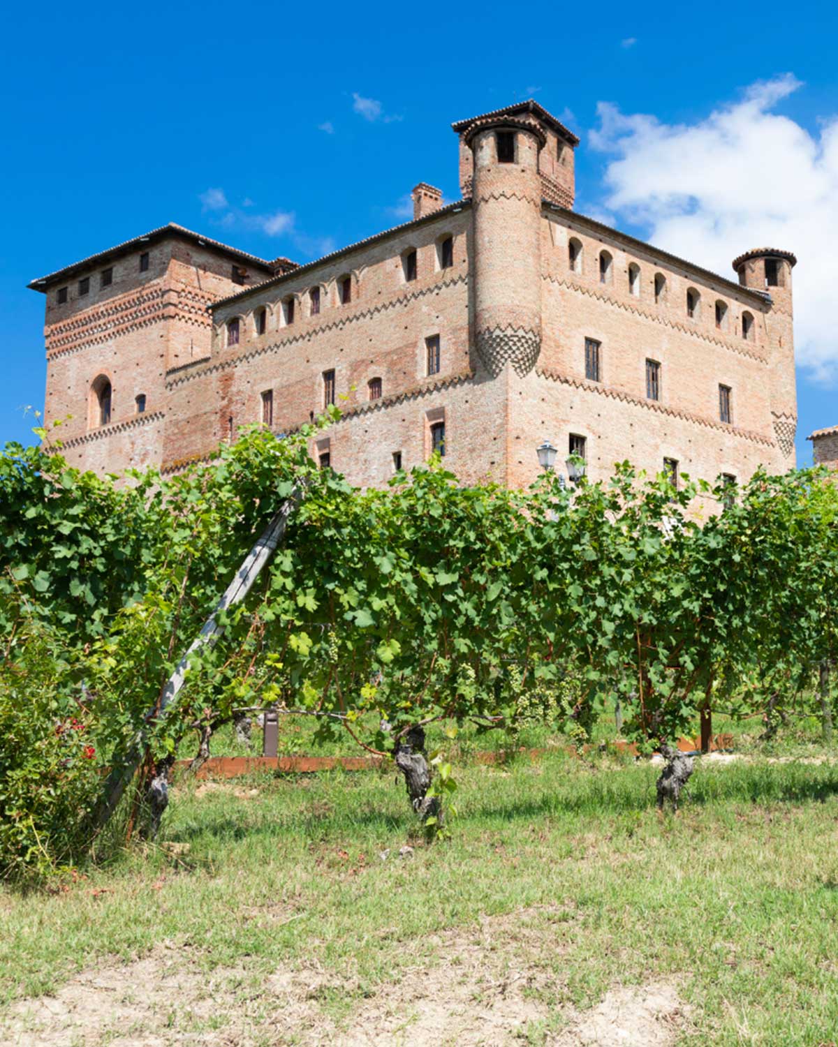10’ di auto dai Castelli di Barolo, Grinzane Cavour, Verduno e Roddi