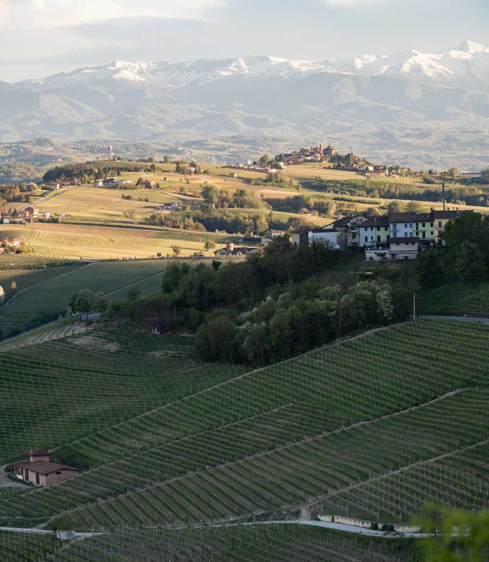 Sentieri, boschi e vigneti da scoprire a piedi o in bici