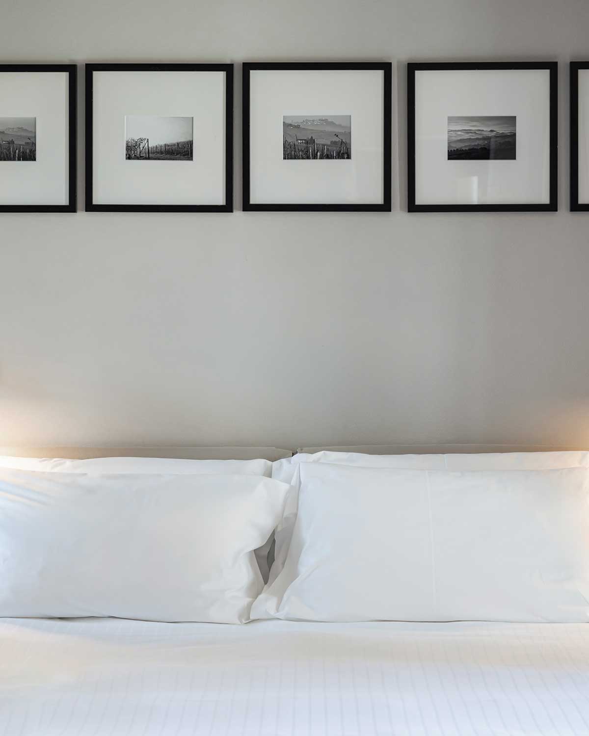 Camera Deluxe Nebbiolo