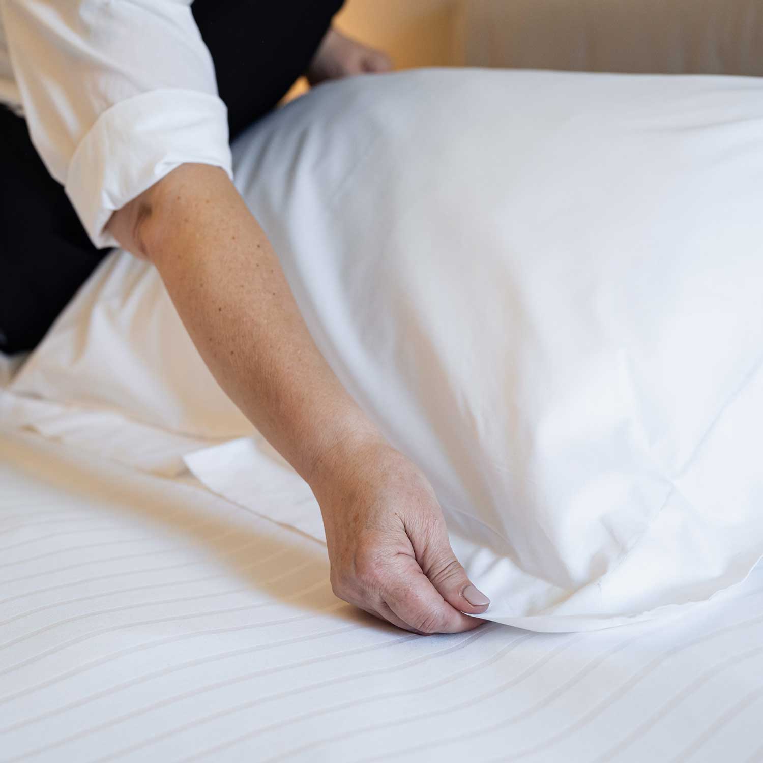 Camera Deluxe Barbera