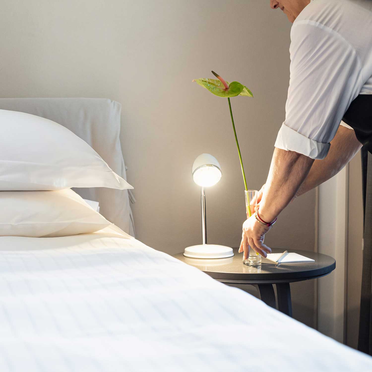 Camera Deluxe Barbera