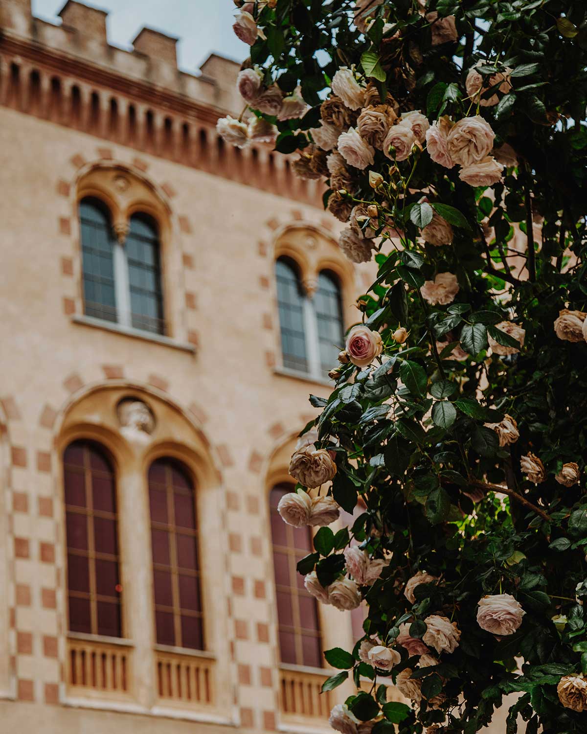 Musei unici