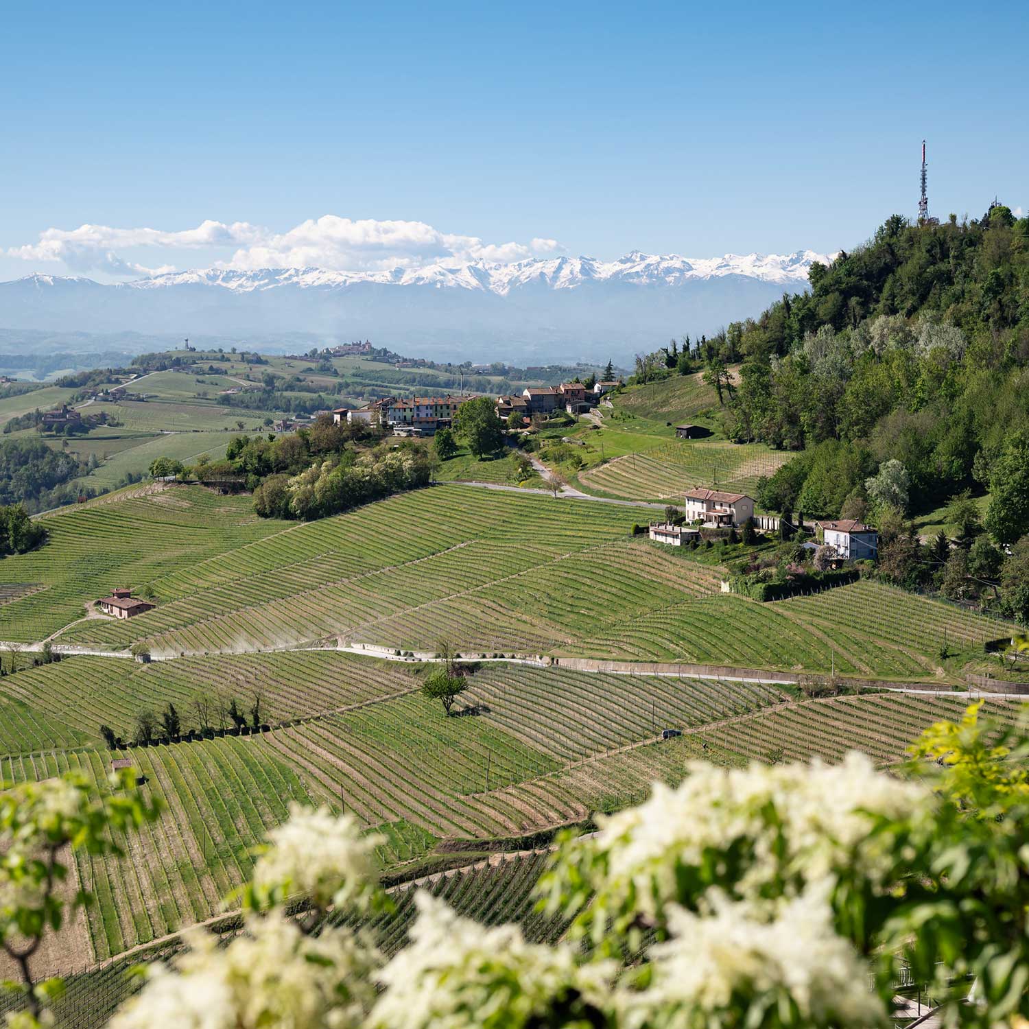 A La Morra, ogni itinerario nelle Langhe trova il suo inizio